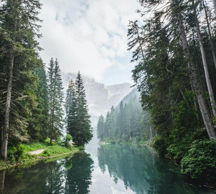 A river passing though forest with mountains in the background.