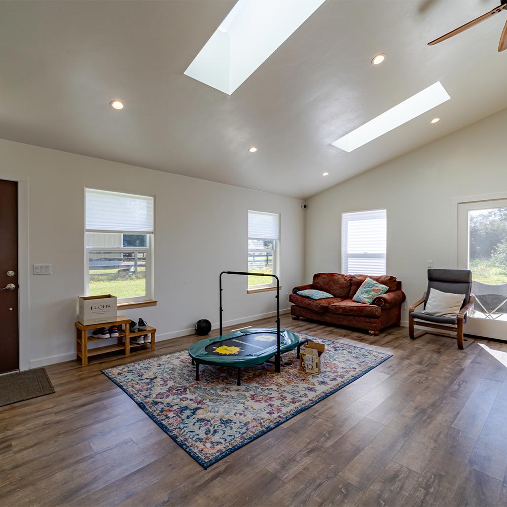 Open floorplan living space with trampoline on a rug, a sofa and a chair. Three windows, a glass door and a skylight fill the room with light.